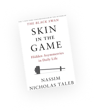 Обложка книги Skin in the Game